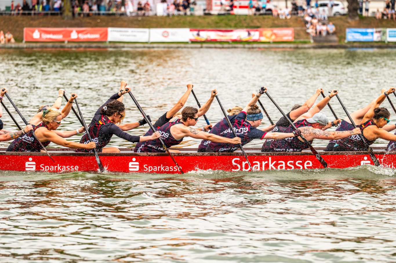 Drachenbootfestivals 2026 Drachenbootfestivals 2026